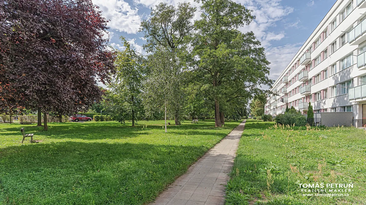 Pronájem bytu 3+1 60 m²